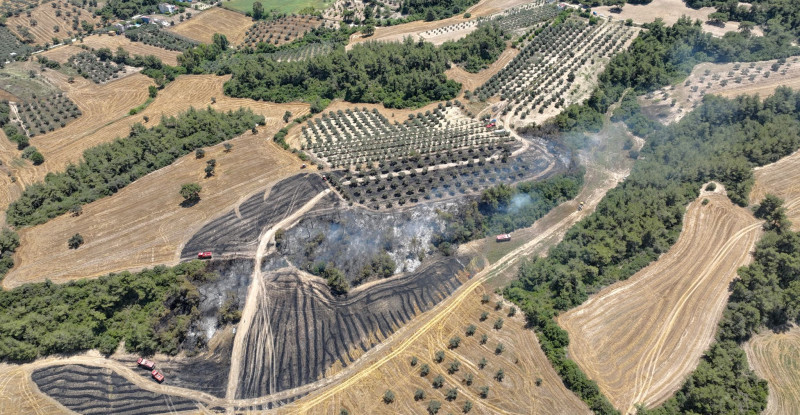 Adana’da ormana sıçrayan anız yangını kontrol altına alındı