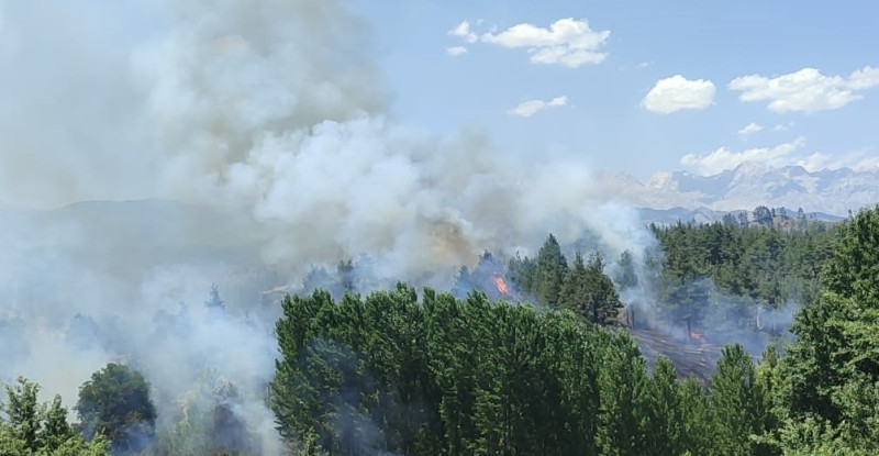 Adana’nın Aladağ ilçesinde çıkan yangın kontrol altına alındı.