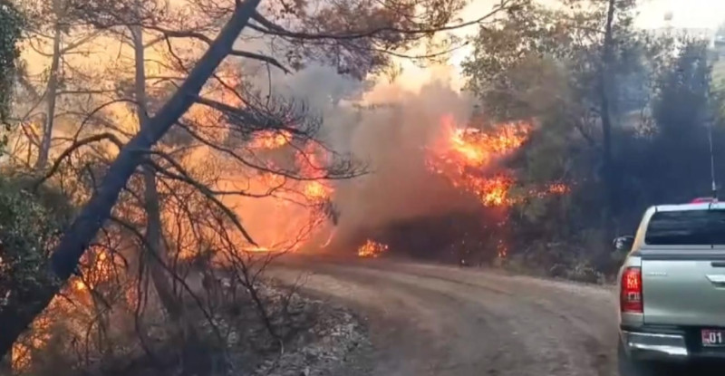 ADANA’NIN KOZAN İLÇESİNDE ÇIKAN ORMAN YANGININA KARADAN VE HAVADAN MÜDAHALE  EDİLİYOR