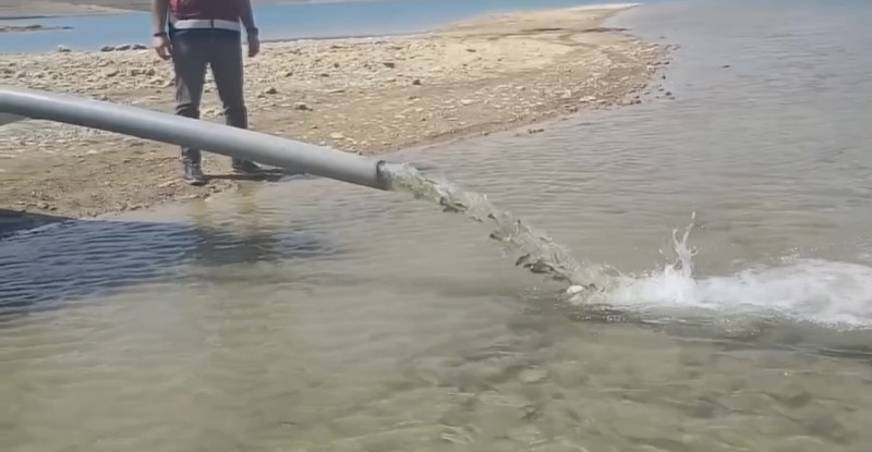 Adana’nın Kozan ilçesindeki baraj göllerine 443 bin sazan yavrusu salındı.