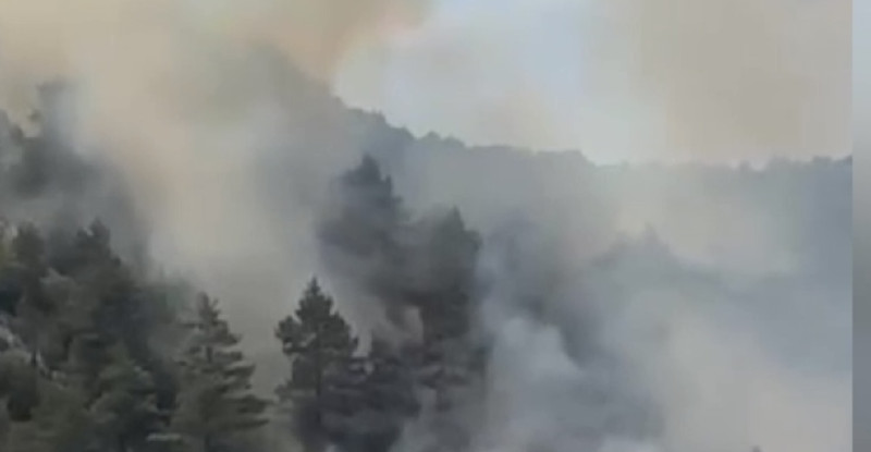 Adana’nın Feke ilçesinde ormanlık alanda çıkan yangına havadan ve karadan müdahale ediliyor.