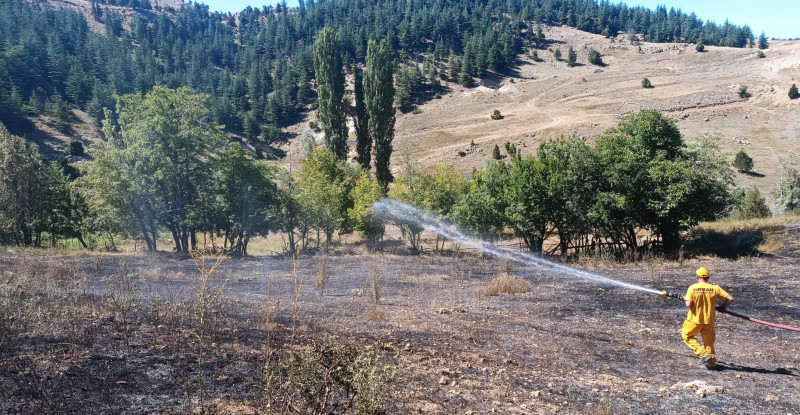 Adana’da ormanlık alana sıçrayan anız yangını kontrol altına alındı