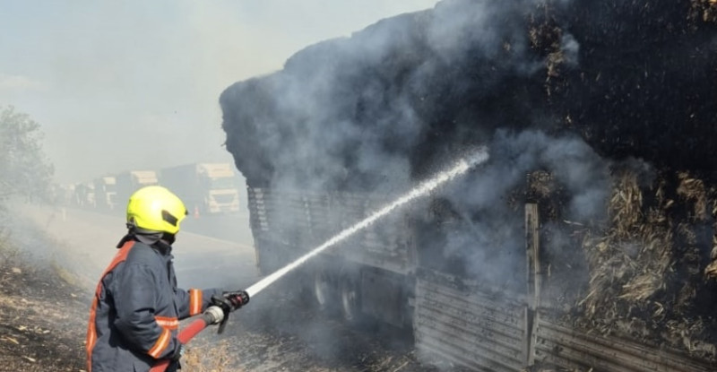 Mersin’de ağaçlık alandan tırın dorsesine sıçrayan yangın söndürüldü
