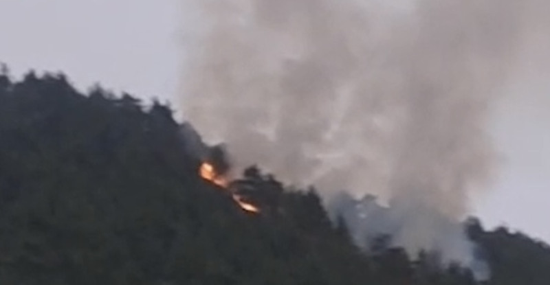 Adana’da ormanlık alanda çıkan yangın kontrol altına alındı