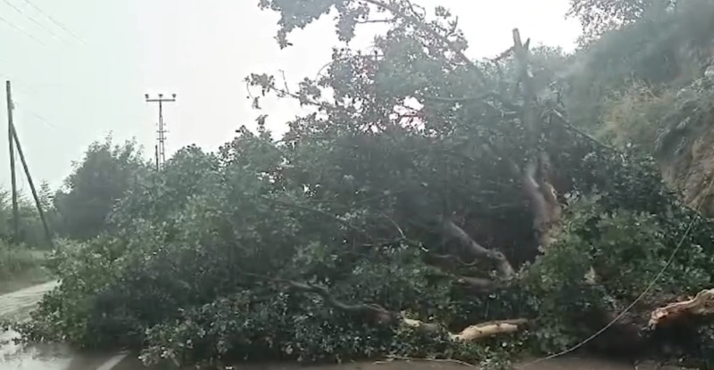 Adana’nın Kozan ve Pozantı ilçelerinde sağanak etkili oldu