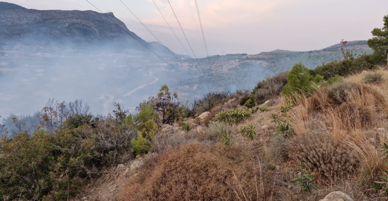 Mersin’de çıkan orman yangını kontrol altına alındı