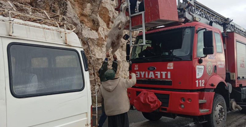 Osmaniye’de kayalıklarda mahsur kalan 3 keçiyi itfaiye kurtardı