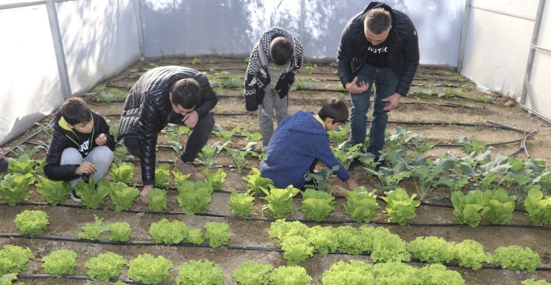 Adana’da ortaokul öğrencileri, okullarında sebze yetiştirip tavuk besliyor