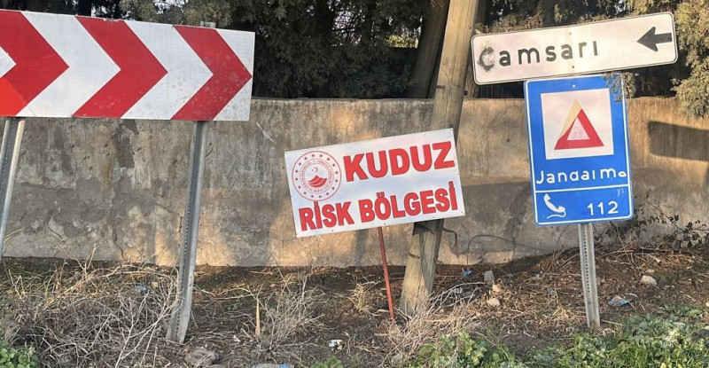 Hatay’da bir mahalle kuduz nedeniyle karantinaya alındı