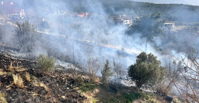 İskenderun’da çıkan bahçe yangını söndürüldü