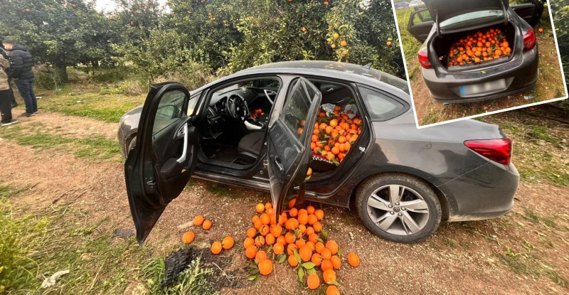 Mersin’de bahçeden 500 kilogram portakal çalan zanlı suçüstü yakalandı