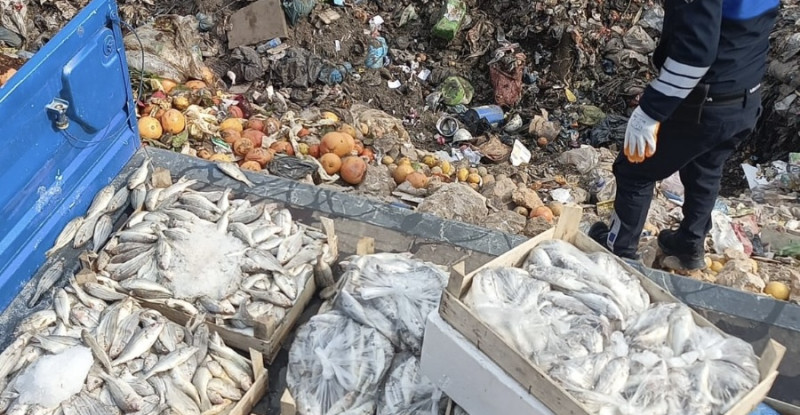 Mersin’de sağlıksız oldukları belirlenen 16 kasa balık imha edildi