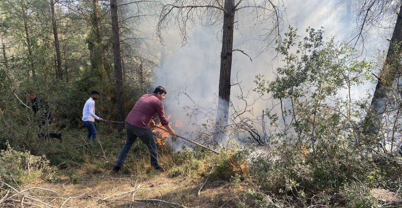 Osmaniye’de çıkan örtü yangınında 1 dekarlık alan zarar gördü