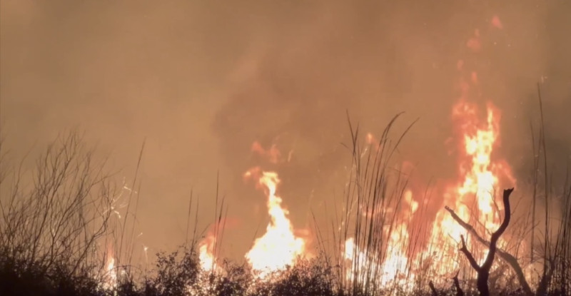Osmaniye Kastabala Kuş Cenneti’nde çıkan yangına ekiplerin müdahalesi sürüyor