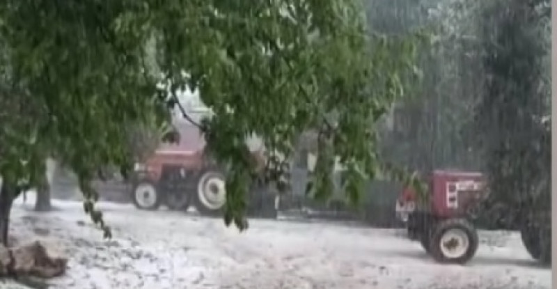 Kozan’da etkili olan dolu nedeniyle bazı tarım arazilerinde zarar oluştu