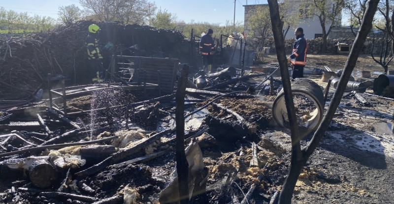 Mersin’de yangın çıkan ahırdaki 21 hayvan telef oldu