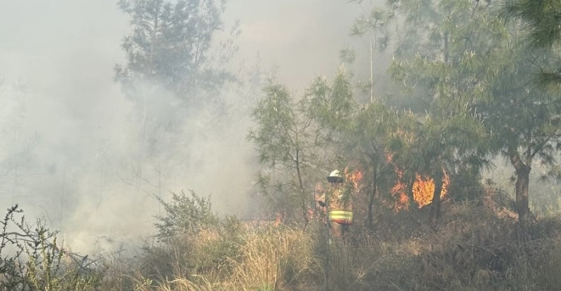 Hatay’ın İskenderun ilçesinde ormanlık alanda çıkan yangın, ekiplerin müdahalesiyle söndürüldü