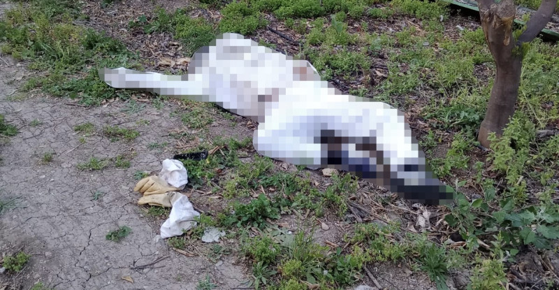 ADANA’DA ARININ SOKTUĞU KİŞİ HAYATINI KAYBETTİ