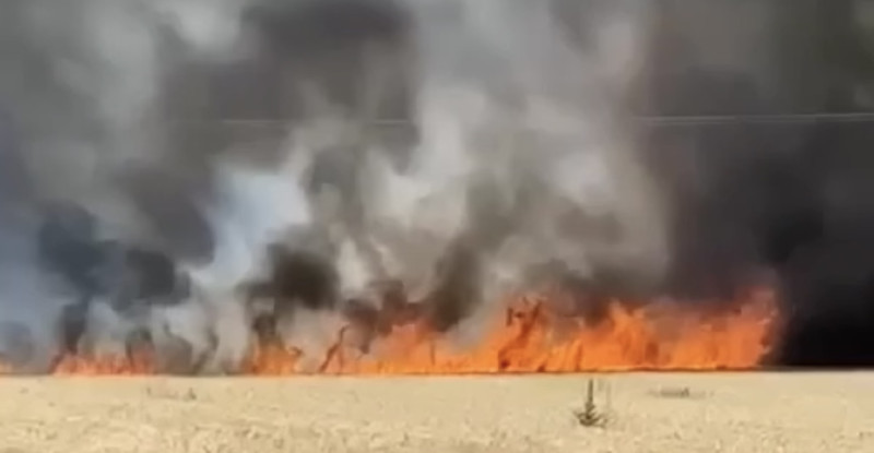 Osmaniye’de çıkan yangında 20 dönümlük buğday tarlası zarar gördü