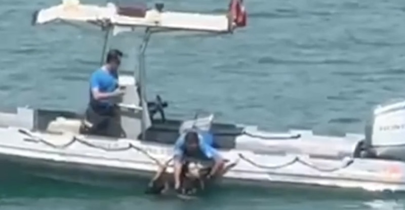 Adana’da köprüden Seyhan Baraj Gölü’ne düşen kadını polis kurtardı