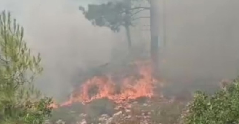 Mersin’de çıkan orman yangını kontrol altına alındı