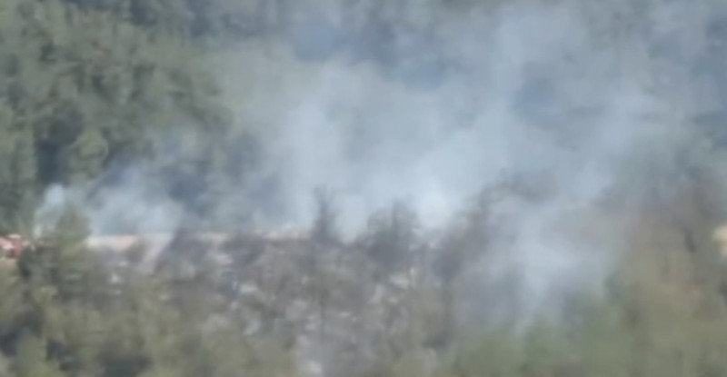 Adana’da çıkan orman yangını kontrol altına alındı