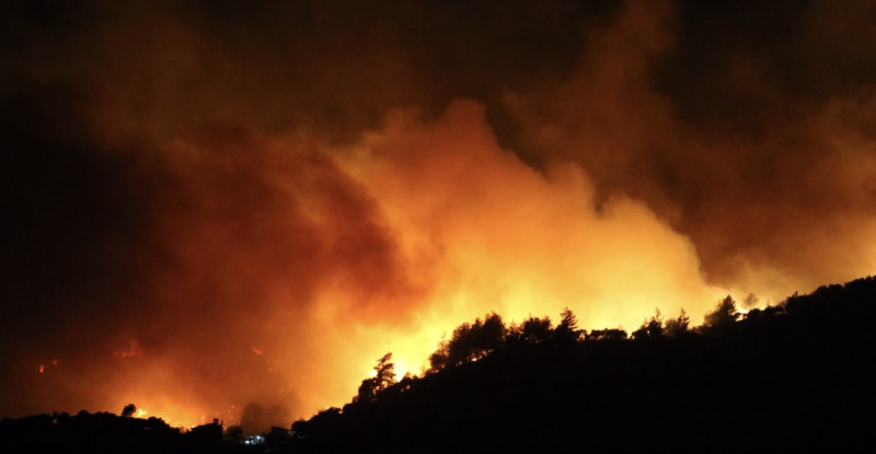 HATAY’DA ORMANLIK ALANDA ÇIKAN YANGININA MÜDAHALE SÜRÜYOR