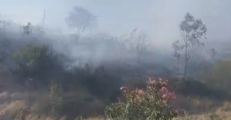 Adana’da makilikte başlayıp ormanlık alana sıçrayan yangın kontrol altına alındı