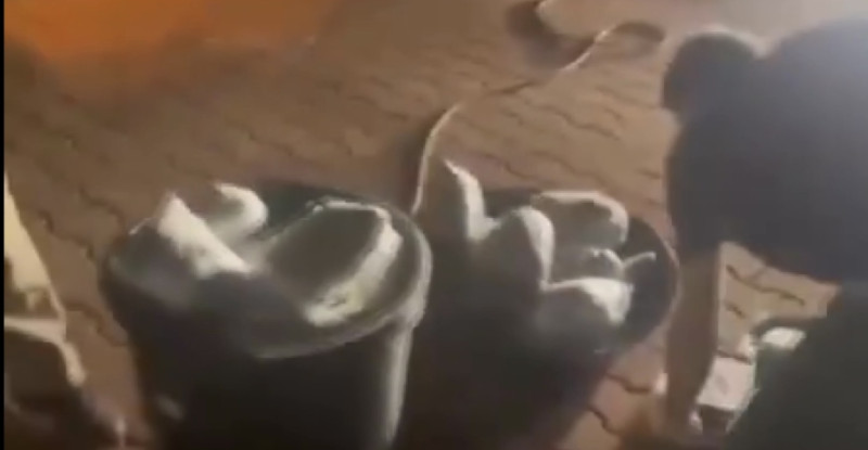 Gaziantep’te 32,5 kilo sentetik uyuşturucu ele geçirildi