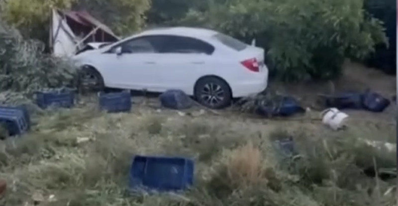 Mersin’de otomobilin zeytin toplayan işçilere çarptığı kazada ölü sayısı 2’ye çıktı