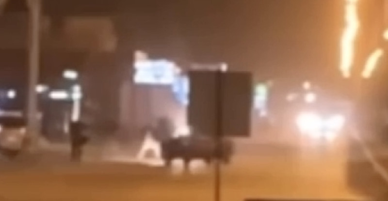 Osmaniye’de ehliyetsiz ve alkollü araç kullanarak 2 kişiye çarpan sürücüye para cezası uygulandı
