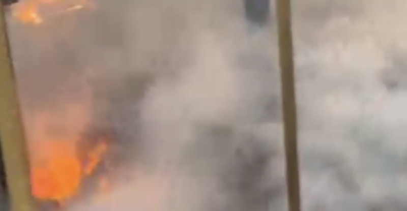 Osmaniye’de yangın çıkan çiftlikteki hayvanlar telef oldu