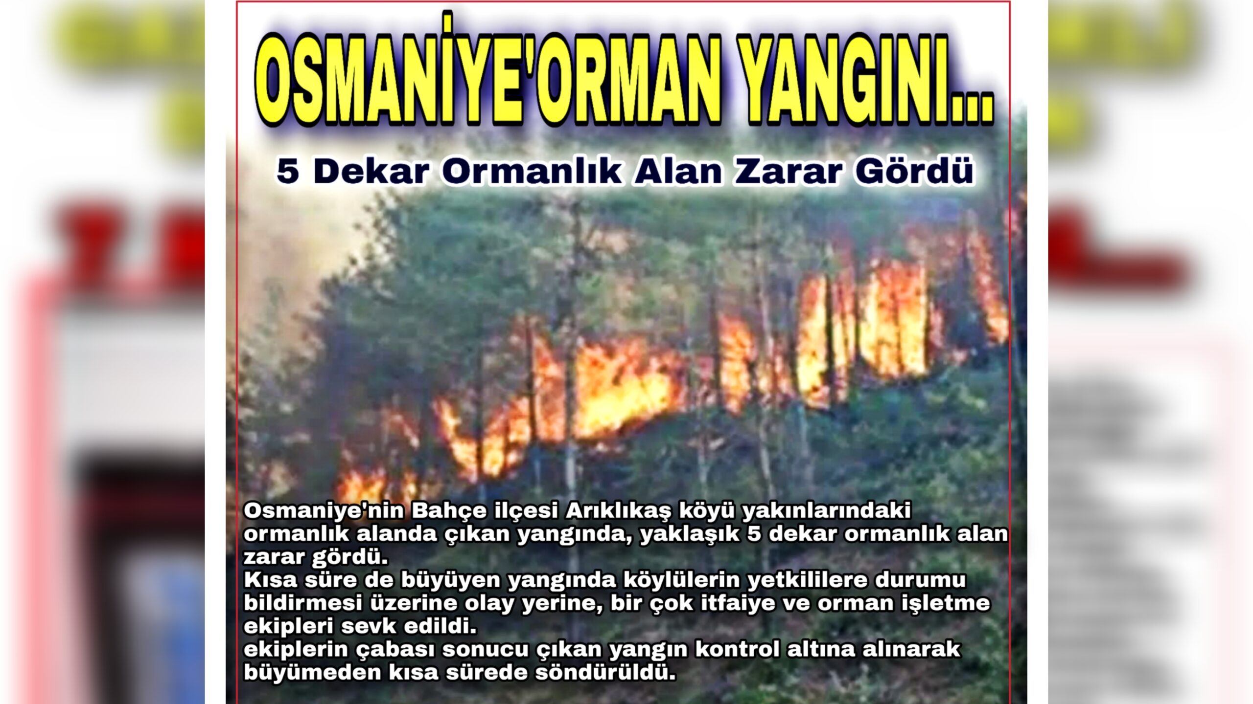 OSMANİYE’DE ORMAN YANGINI…  5 Dekar Alan Zarar Gördü