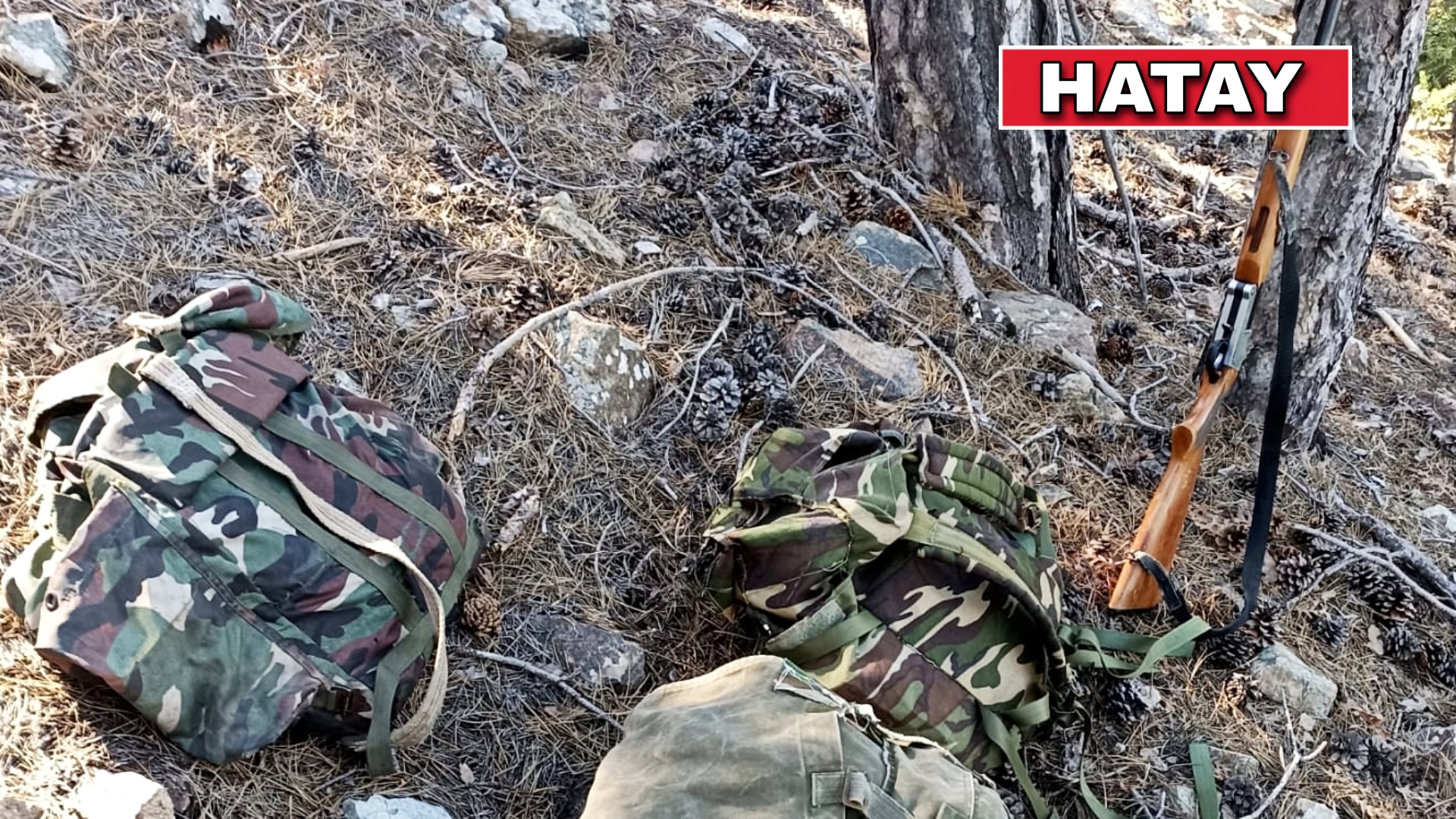 HATAY’DA YABAN KEÇİSİ AVLAYAN KİŞİYE 254 BİN 912 LİRA CEZA