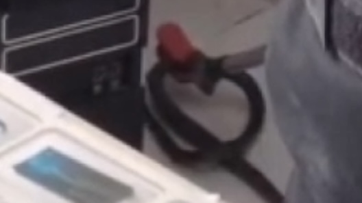 Osmaniye’de aile sağlığı merkezine giren yılanı itfaiye ekibi çıkardı