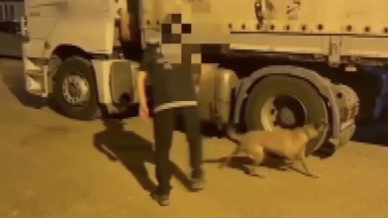 Gaziantep’te arama yapılan bir tırda 3 kilo 20 gram kokain ele geçirildi