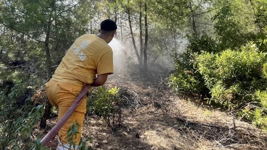 Adana’nın Feke ilçesinde çıkan orman yangını kontrol altına alındı