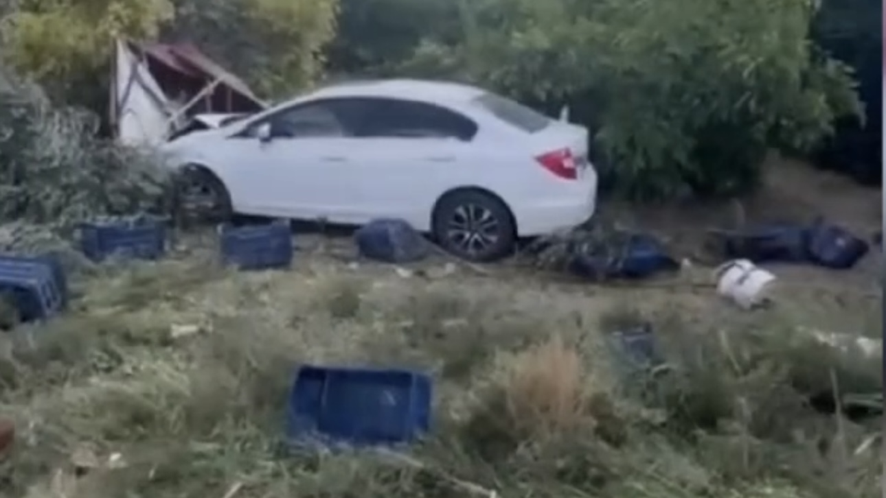 Mersin’de otomobilin zeytin toplayan işçilere çarptığı kazada ölü sayısı 2’ye çıktı
