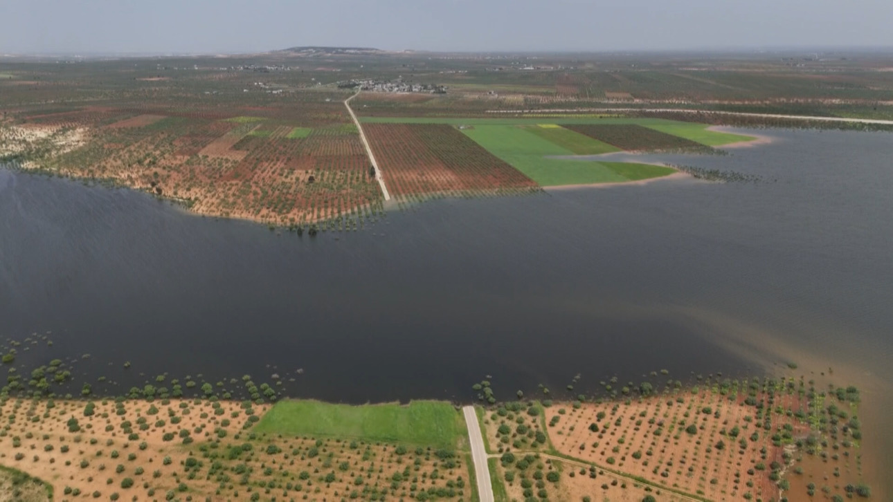 Gaziantep’te baraj seviyesi yükselince fıstık bahçesi su altında kaldı